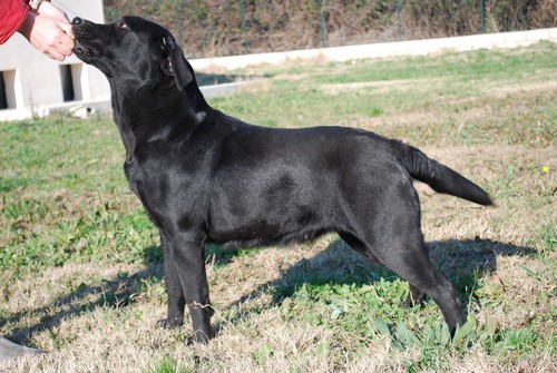 Vodka of park heaven