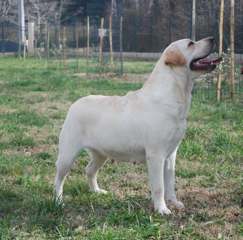 Athéna (Sans Affixe)