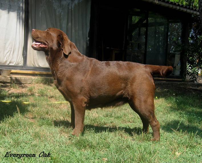 Baby blue of park heaven