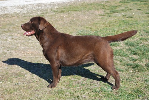 Faith of park heaven