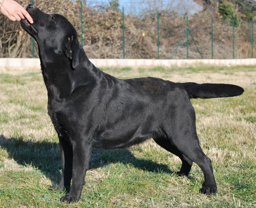 Evene of park heaven