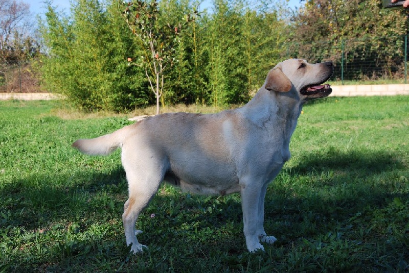 Gwen of park heaven